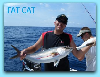 Amberjack fishing in the gulf of Mexico with Capt Brad Masters